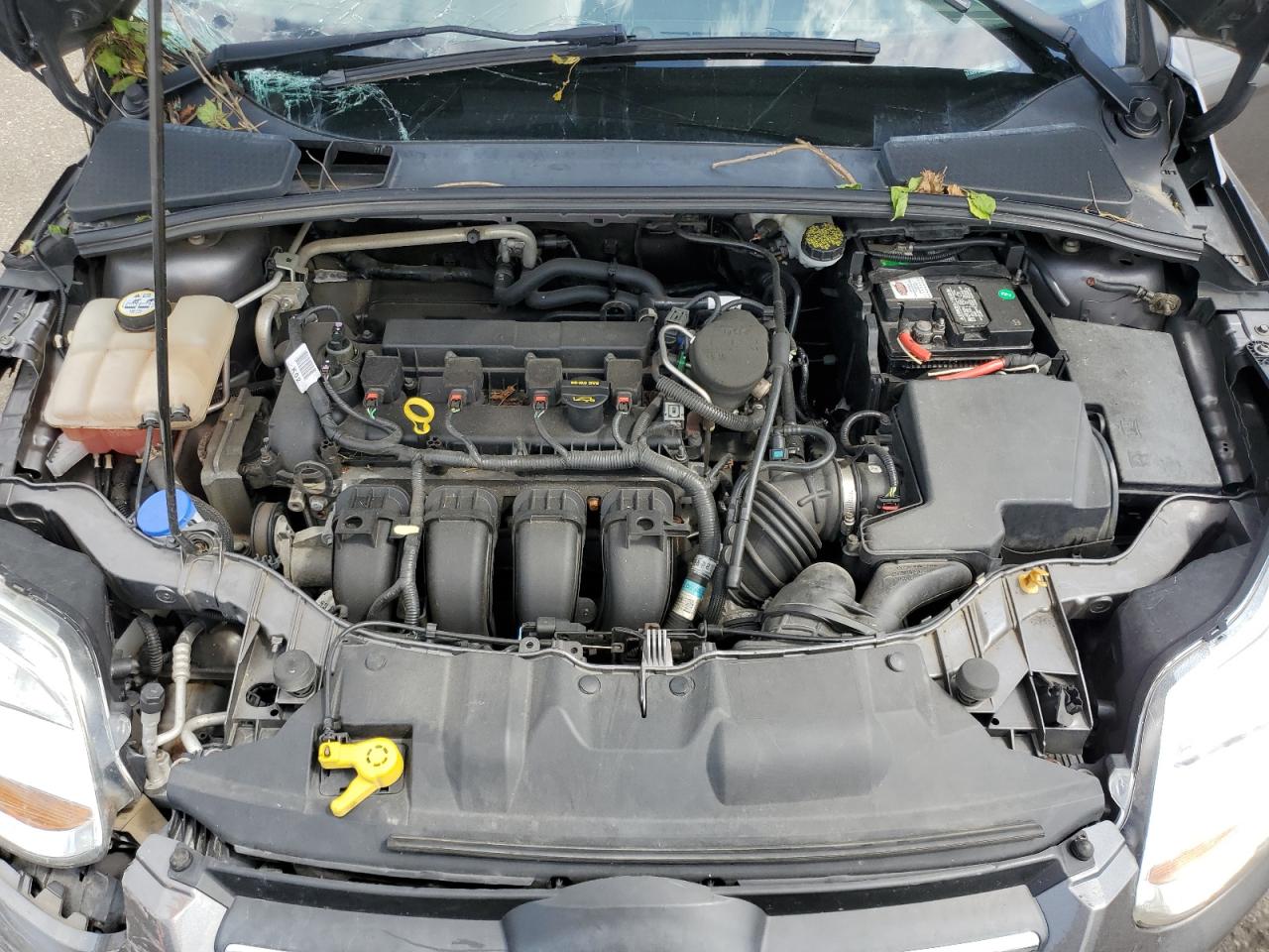 Lot #3317800096 2012 FORD FOCUS SE