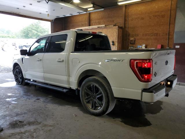 2023 FORD F150 SUPER 1FTEW1CP4PKE31930