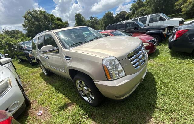CADILLAC ESCALADE P 2010 gold 4dr spor flexible fuel 1GYUCCEF4AR180954 photo #1