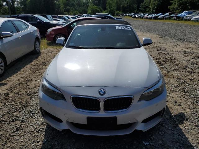 2015 BMW 228 XI WBA1K7C53FV235340