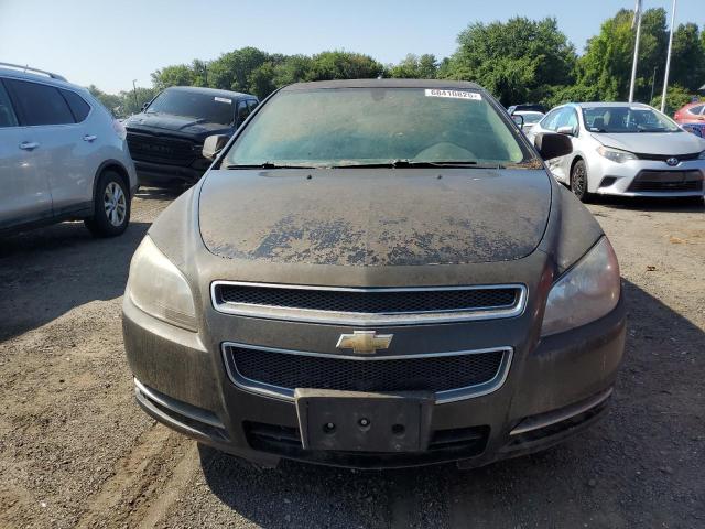2010 CHEVROLET MALIBU 1LT - 1G1ZC5EB6AF299992