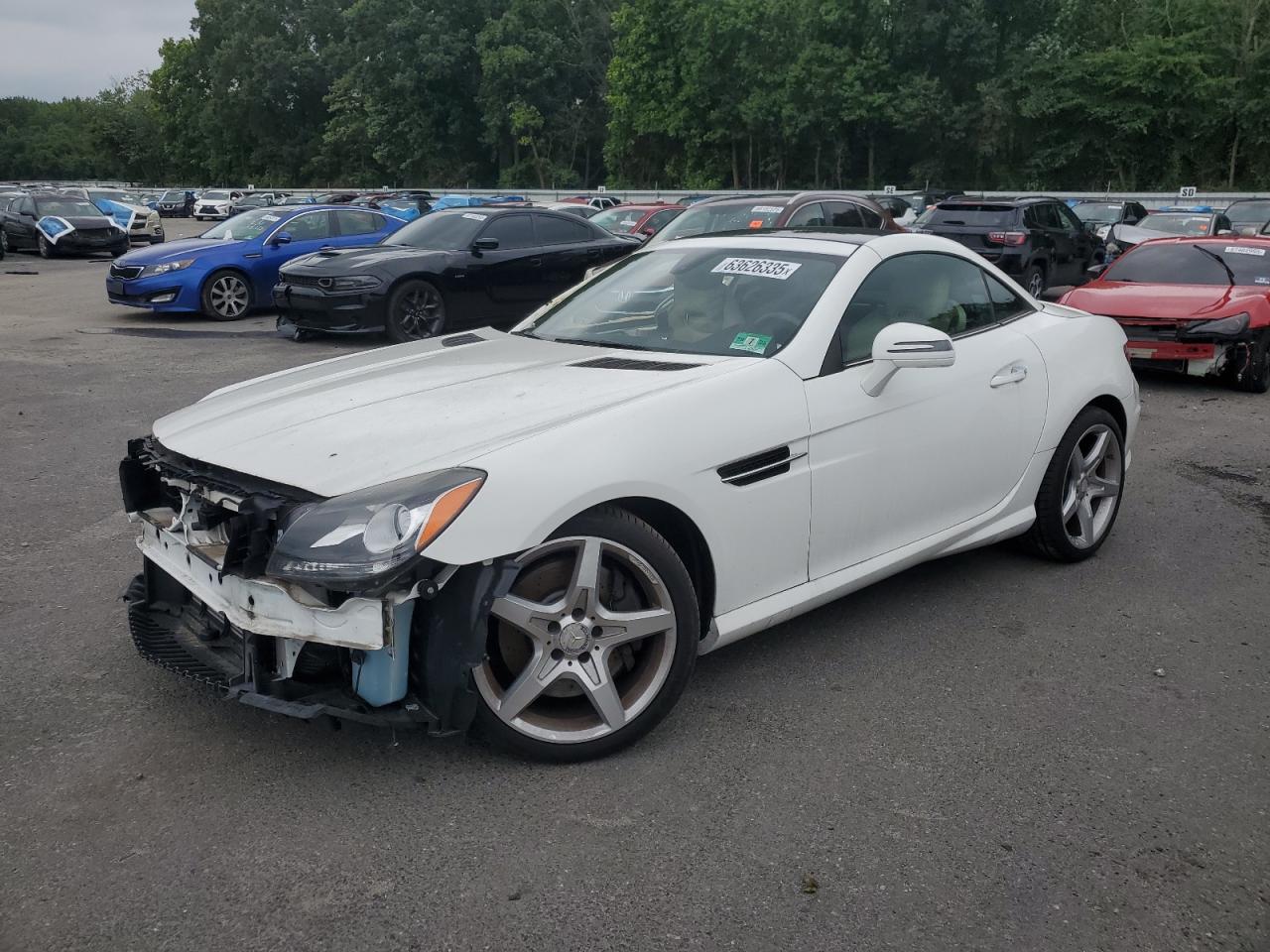 MERCEDES-BENZ SLK-CLASS 250