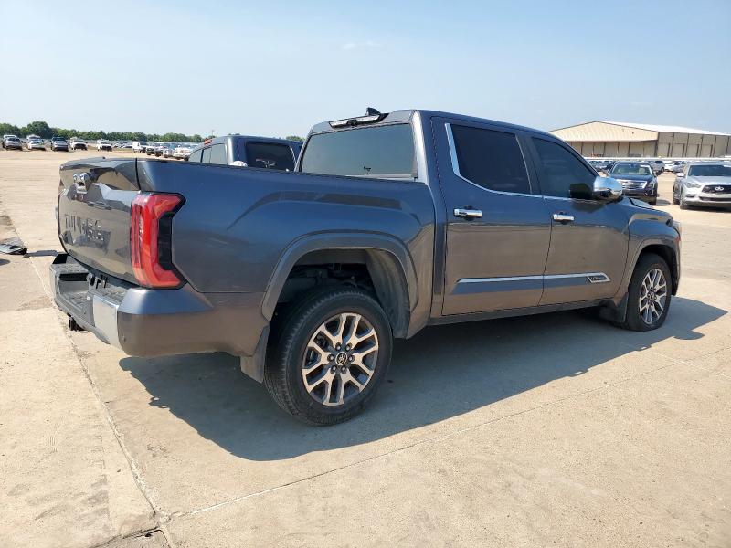 2024 TOYOTA TUNDRA CREWMAX PLATINUM 5TFMA5DB5RX204952