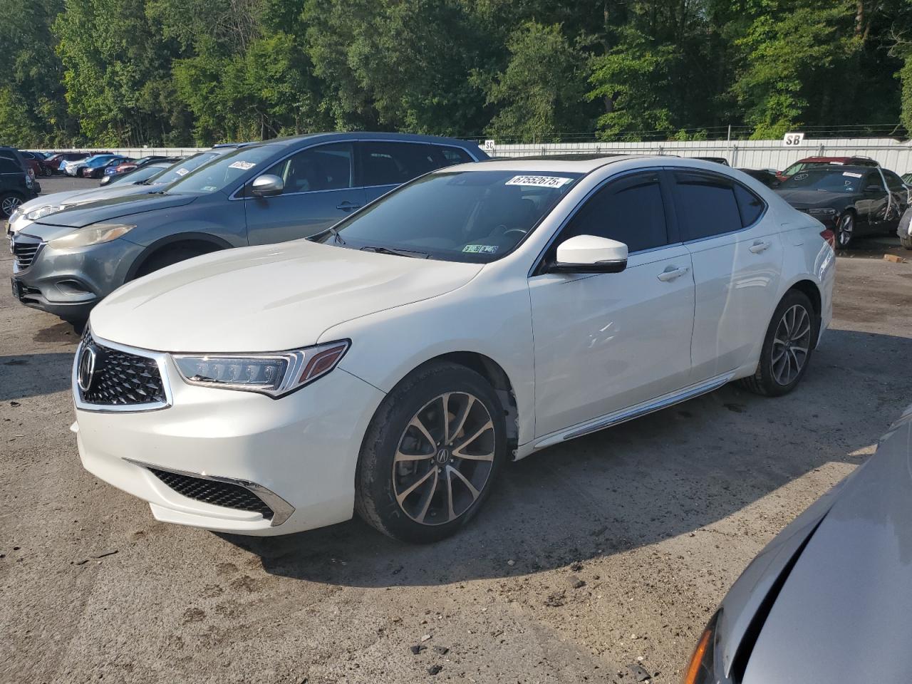 ACURA TLX TECH