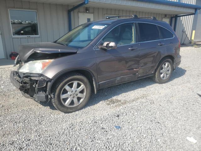 HONDA CR-V EXL