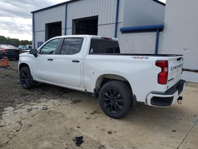 2023 CHEVROLET SILVERADO K1500 CUSTOM - 3GCPDBEK9PG201068