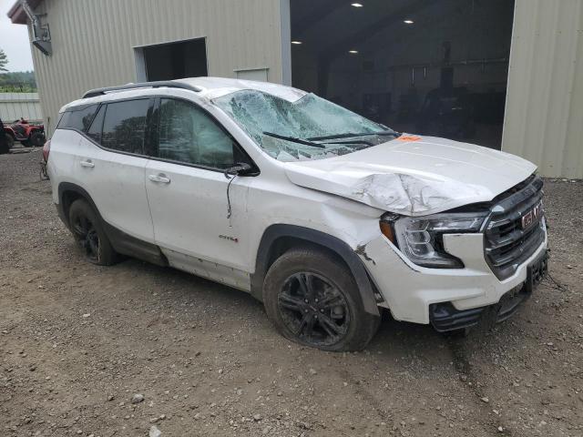 2024 GMC TERRAIN AT 3GKALYEGXRL214384