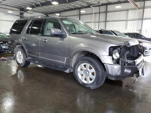 2010 FORD EXPEDITION - 1FMJU2A50AEB64721