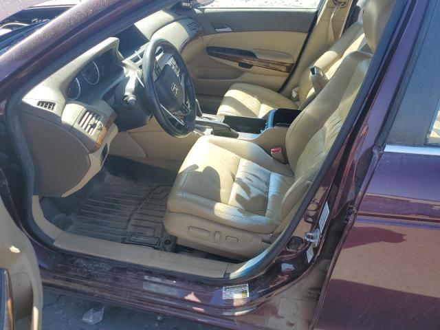 2010 HONDA ACCORD EXL - 5KBCP3F86AB017011