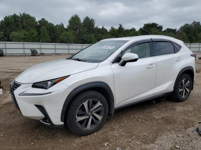 LEXUS NX 300 BAS