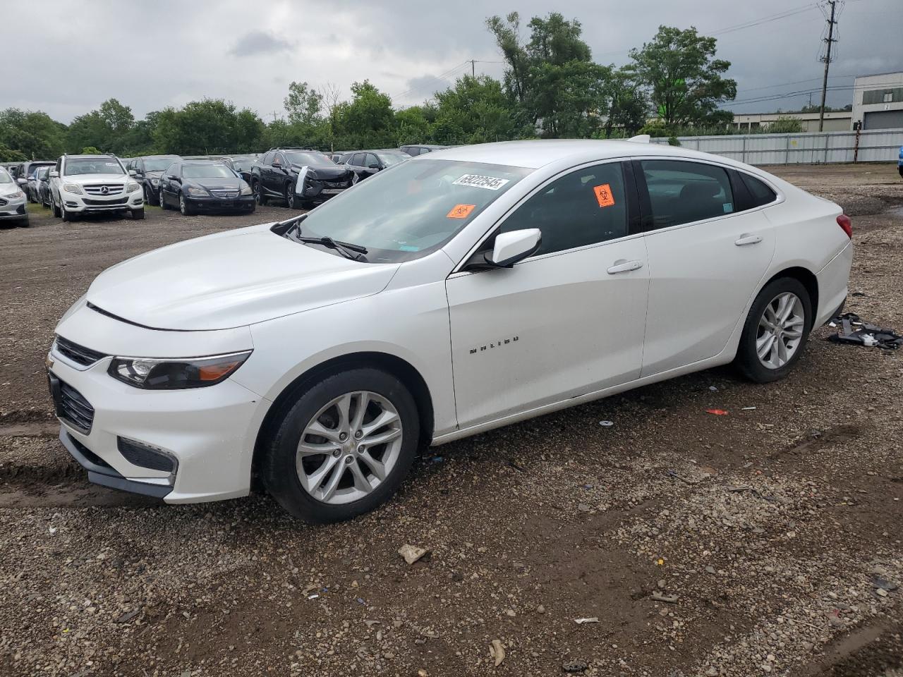 CHEVROLET MALIBU LT