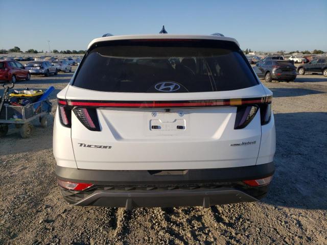 2023 HYUNDAI TUCSON LIMITED KM8JECA13PU127127