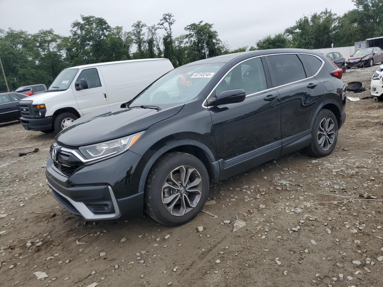 HONDA CR-V EX