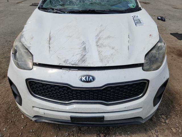2019 KIA SPORTAGE L KNDPM3AC3K7555595