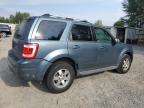 Lot #3304059511 2011 FORD ESCAPE LIM