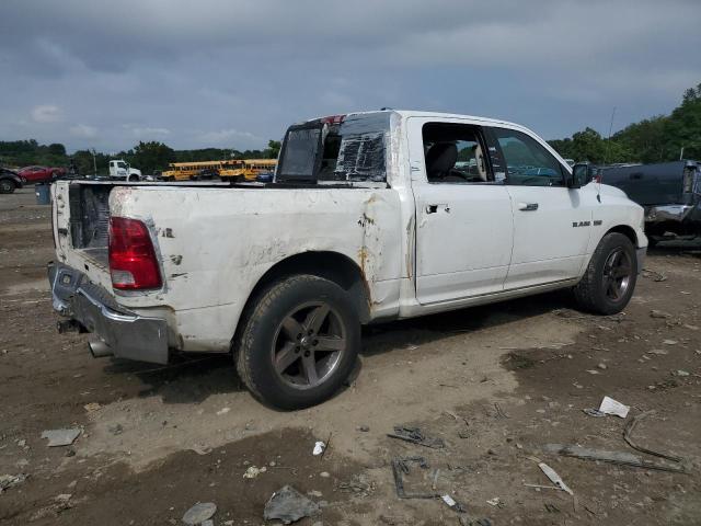2010 DODGE RAM 1500 C - 1D7RB1CT3AS195553