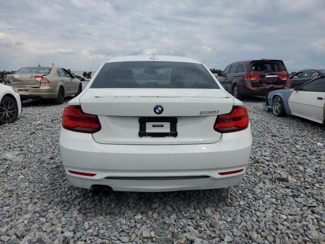 2018 BMW 230I WBA2J1C59JVD09487