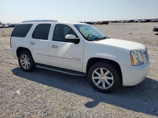 2010 GMC YUKON DENA - 1GKUKEEF0AR179194