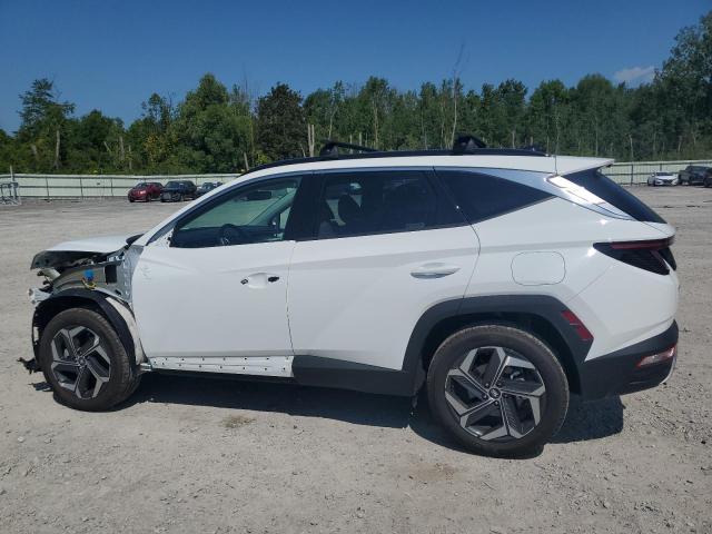 2023 HYUNDAI TUCSON LIM 5NMJECAE7PH292385