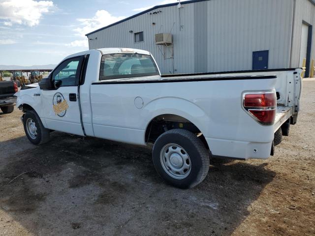 2012 FORD F150 - 1FTPF1CF6CKD70784
