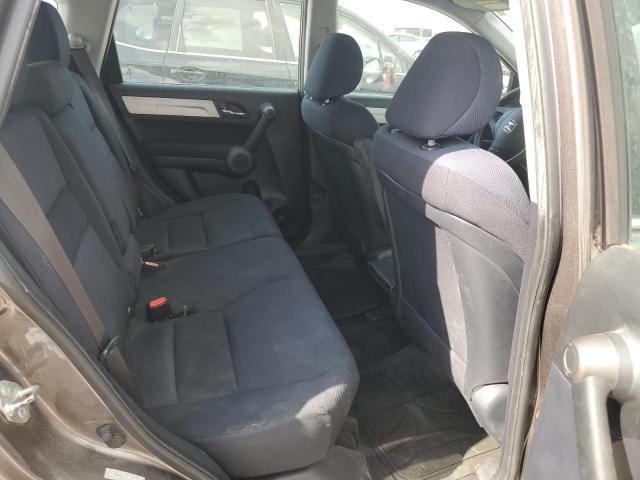 2010 HONDA CR-V LX - 5J6RE3H30AL034104