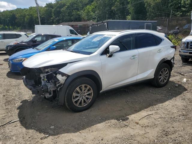 LEXUS NX 300 BAS