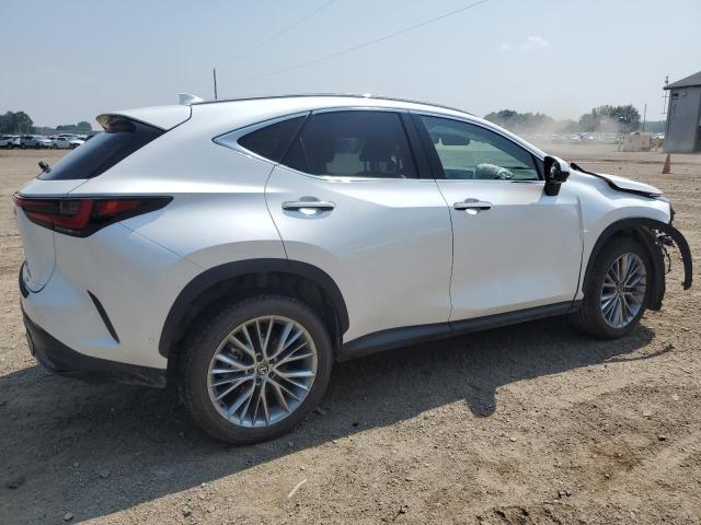 2025 LEXUS NX 350H BA 2T2HKCEZ0SC037592