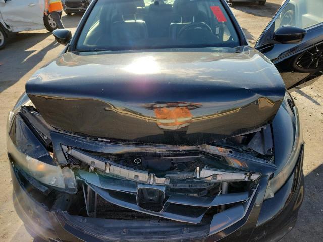 2011 HONDA ACCORD EXL - 1HGCS2B81BA008077