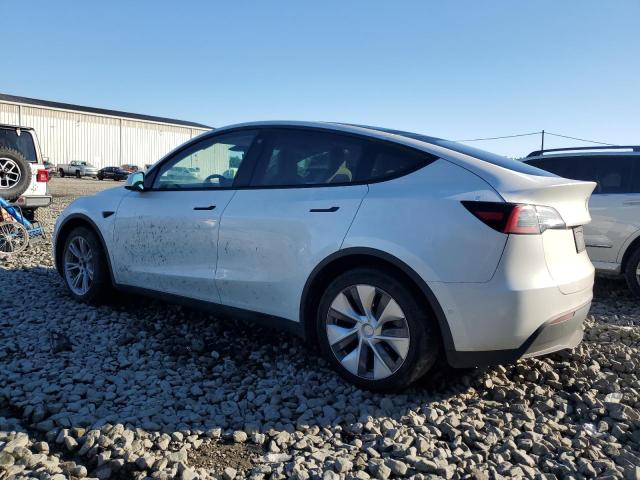 2022 TESLA MODEL Y 7SAYGDEEXNF549646