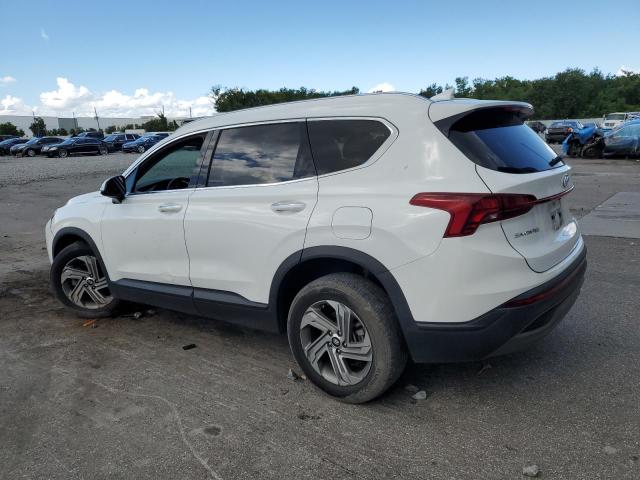2023 HYUNDAI SANTA FE S 5NMS24AJ8PH538635