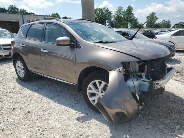 2013 NISSAN MURANO S - JN8AZ1MW8DW316543