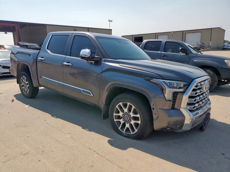 2024 TOYOTA TUNDRA CREWMAX PLATINUM 5TFMA5DB5RX204952