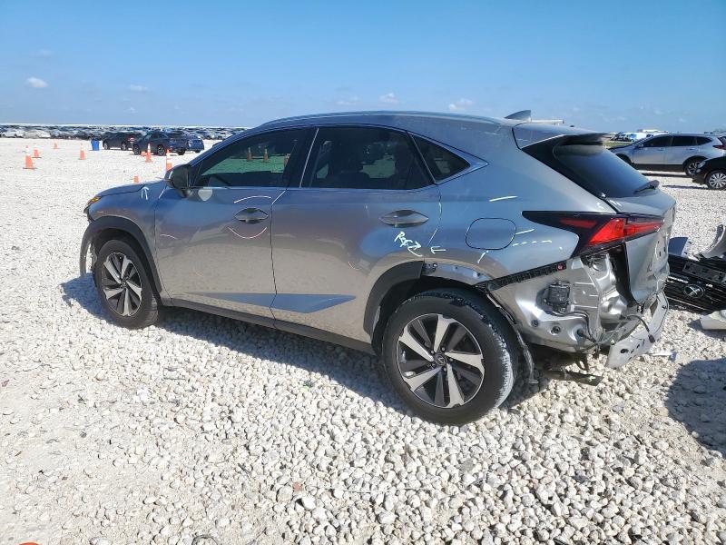 2019 LEXUS NX 300 BAS JTJYARBZ5K2156555