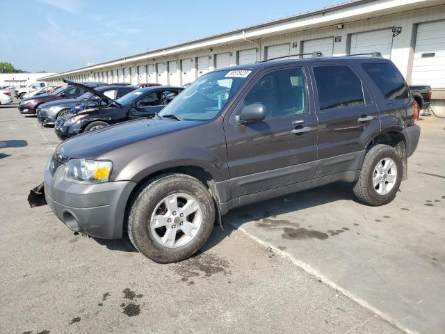 FORD ESCAPE XLT