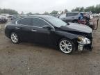 Lot #3303998654 2012 NISSAN MAXIMA S