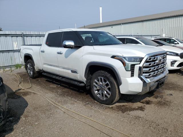 2024 TOYOTA TUNDRA CRE - 5TFMA5EC2RX028692