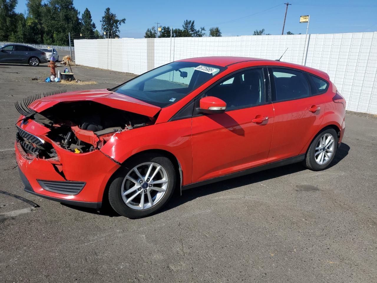 Lot #3256622397 2016 FORD FOCUS SE