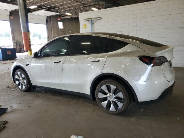 2023 TESLA MODEL Y 7SAYGDEE5PF750891