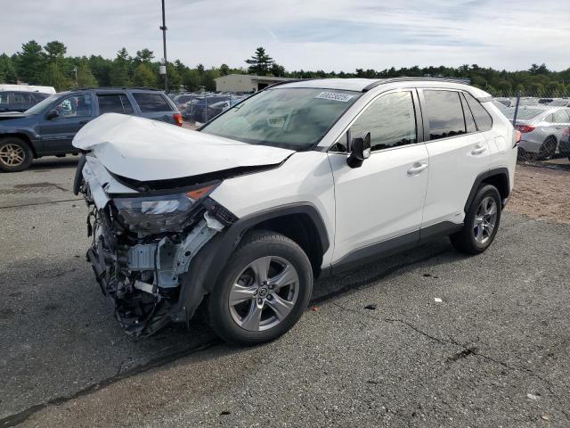 Global Auto Auctions: 2022 TOYOTA RAV4 LE