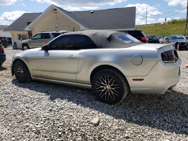 2013 FORD MUSTANG - 1ZVBP8EM8D5242197