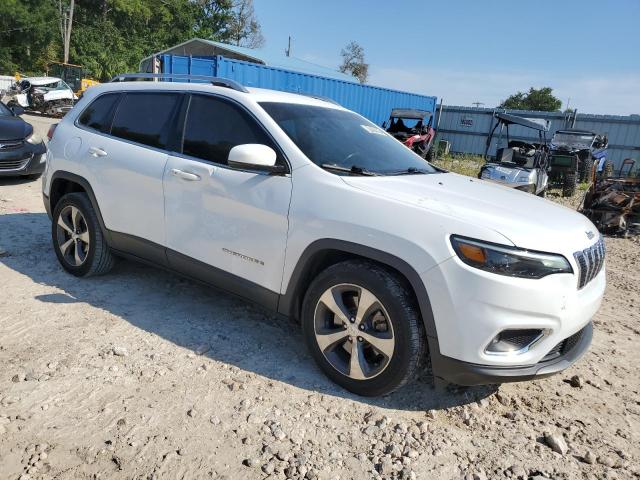 2019 JEEP CHEROKEE L 1C4PJLDB5KD111762