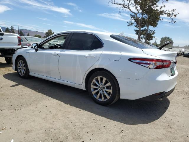 2019 TOYOTA CAMRY LE 4T1B31HK9KU006785