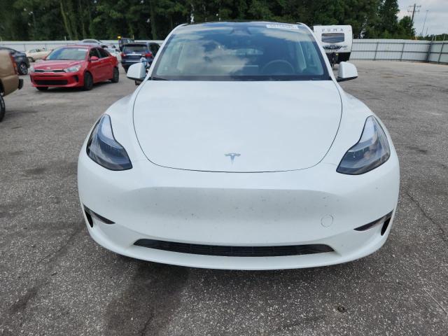 2024 TESLA MODEL Y 7SAYGDED7RF111664