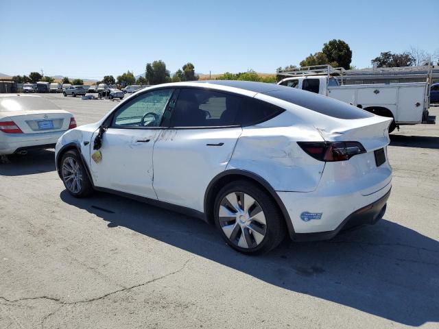 2021 TESLA MODEL Y 5YJYGDEE6MF207607