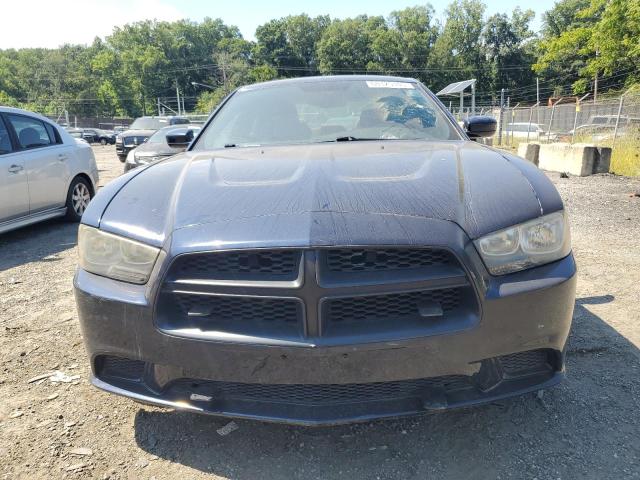 2013 DODGE CHARGER PO - 2C3CDXAT7DH546741