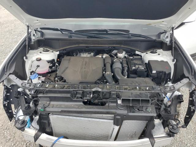 2024 HYUNDAI SANTA FE C 5NMP5DGL1RH066495
