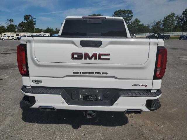 2020 GMC SIERRA K1500 AT4 3GTP9EEL6LG390669