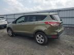 Lot #3308323160 2014 FORD ESCAPE SE