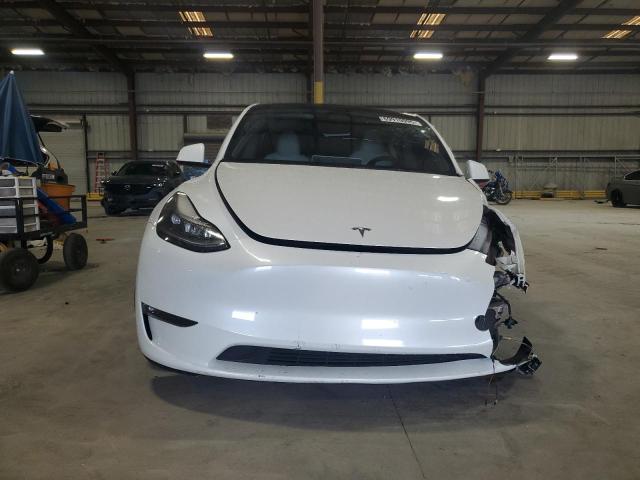 2023 TESLA MODEL Y 7SAYGDEF2PF833705