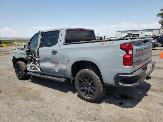 2025 CHEVROLET SILVERADO #3285905562